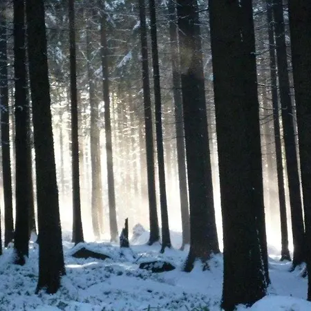 Jaegerhaus Alleinlage Mit Oppach