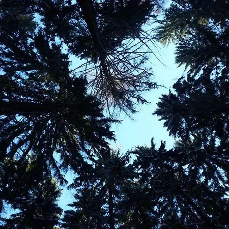 Jaegerhaus Alleinlage Mit * Oppach