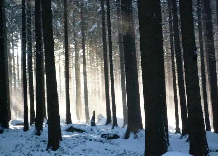 Jaegerhaus Alleinlage Mit Oppach