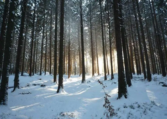 Jaegerhaus Alleinlage Mit