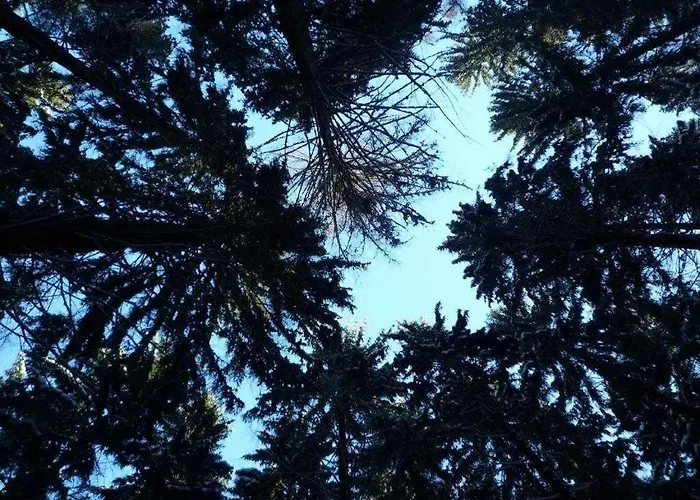 Jaegerhaus Alleinlage Mit * Oppach