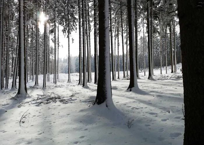 Jaegerhaus Alleinlage Mit * Oppach